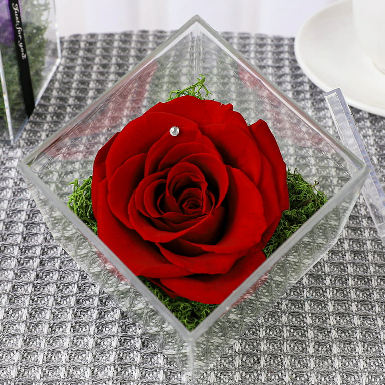 Eternal Flower Handmade Preserved Real Rose Glass Cover Holder Immortal  Flowers Birthday Gifts Wedding Supplies (A)