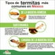 thumbnail image 3 of Termidor 25 Ce 250 Ml Insecticida Fipronil Termitas Moscas, 3 of 3
