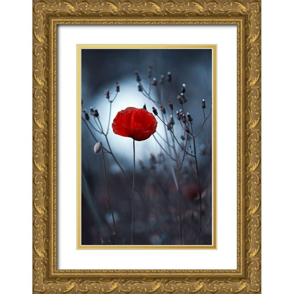 Bravin, Fabien 17x24 Gold Ornate Wood Framed with Double Matting Museum Art Print Titled - Flower not by kenzo. By me