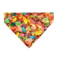 thumbnail image 2 of The Flintstones Pet Bandana Fruity Pebbles Fred and Barney Rubble Cereal Box Print Multi Slip On Collar&nbsp;Bandana Only, 2 of 6