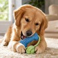 Loop Rope Toy With Bone Interactive Dog Rope Toy with Textured Rubber Bone, Blue and Green, for ...