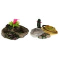 thumbnail image 3 of Water Dish Food Tray Bowl Pool For Amphibians Reptile Turtle - 007, 3 of 9