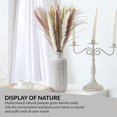 thumbnail image 5 of 80 Piezas, 45 cm Cola de Conejo Blanco Seca Natural Polvo de Trigo Planta de Hierba de Pampa Decoración Boho, 5 of 5
