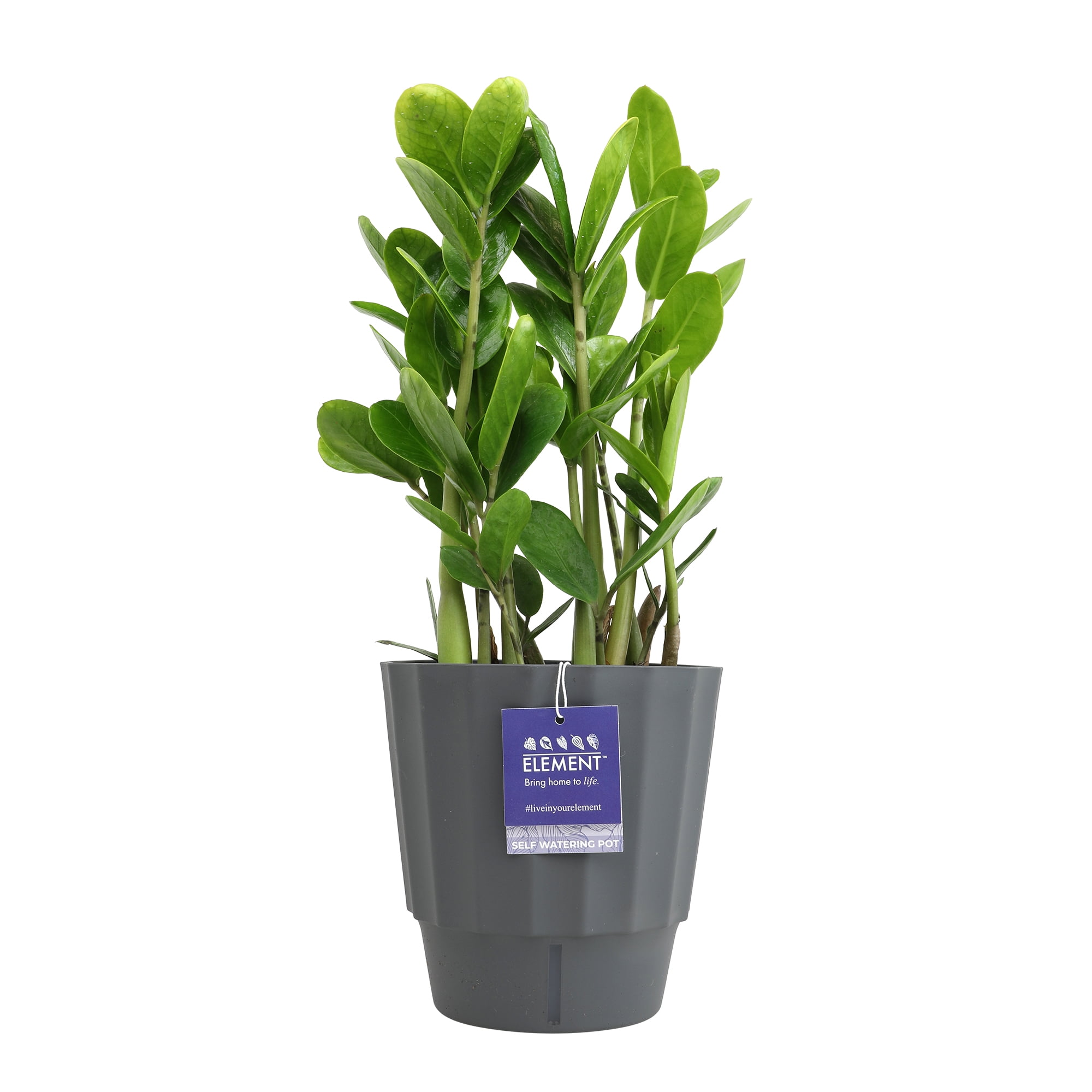 de25023a-27e3-480b-abd0-