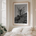thumbnail image 6 of Silent Sentinel - Perama Greece Photography Black and White Desert Nature Minimalist Landscape Moody Unframed Wall Art Print 12 x 16 inches, 6 of 13