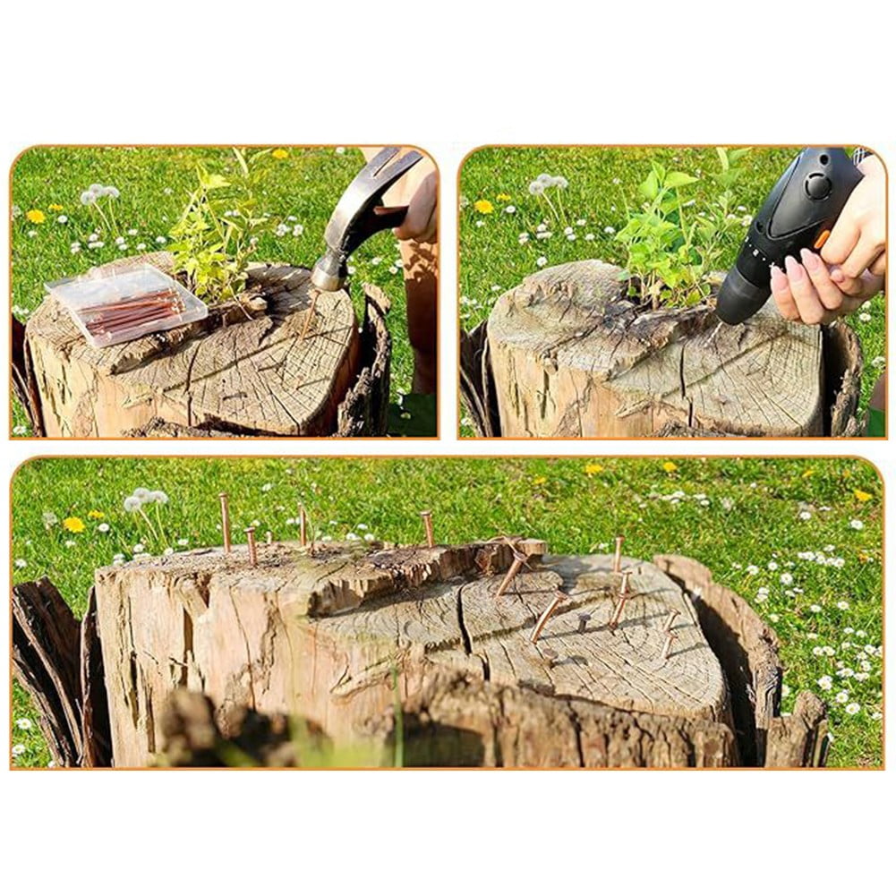 Clous En Cuivre Pur 10,2 Cm Pour éliminer Souches D'arbres - Lot De 15 Avec Foret