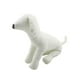 thumbnail image 5 of Maniquíes de cuero PU para perros, maniquí de exhibición de ropa para mascotas, suministros para mascotas, modelos para perros Talla M Blanco Sunnimix Maniquí de perros, 5 of 8