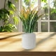 thumbnail image 4 of Crea hojas tropicales altas y brillantes para decorar interiores y exteriores en cualquier época del año. Decoración para patios y porches. Embellece tu jardín., 4 of 5