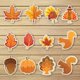 thumbnail image 4 of Cortadores de galletas de otoño Cortadores de galletas de Acción de Gracias Blätter Keks Cutter, 4 of 5