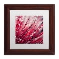 thumbnail image 2 of Trademark Fine Art "Red Melody" Canvas Art by Beata Czyzowska Young, White Matte, Wood Frame, 2 of 4
