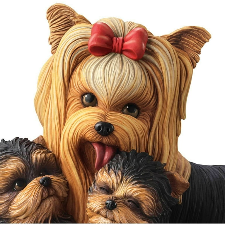 Yorkie kisses hotsell