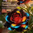 thumbnail image 2 of Desert Rose, Shade Plant for Gardens-Easy Grow-Low Maintenance-Ideal for Beds Borders, Plant Pots & Planters, 2 of 5