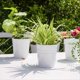 thumbnail image 5 of Maceta Colgante, Cubo de Hierro Metálico, Maceta para Barandilla, Soporte para Flores para Jardín, Maceta Colgante (), 5 of 6