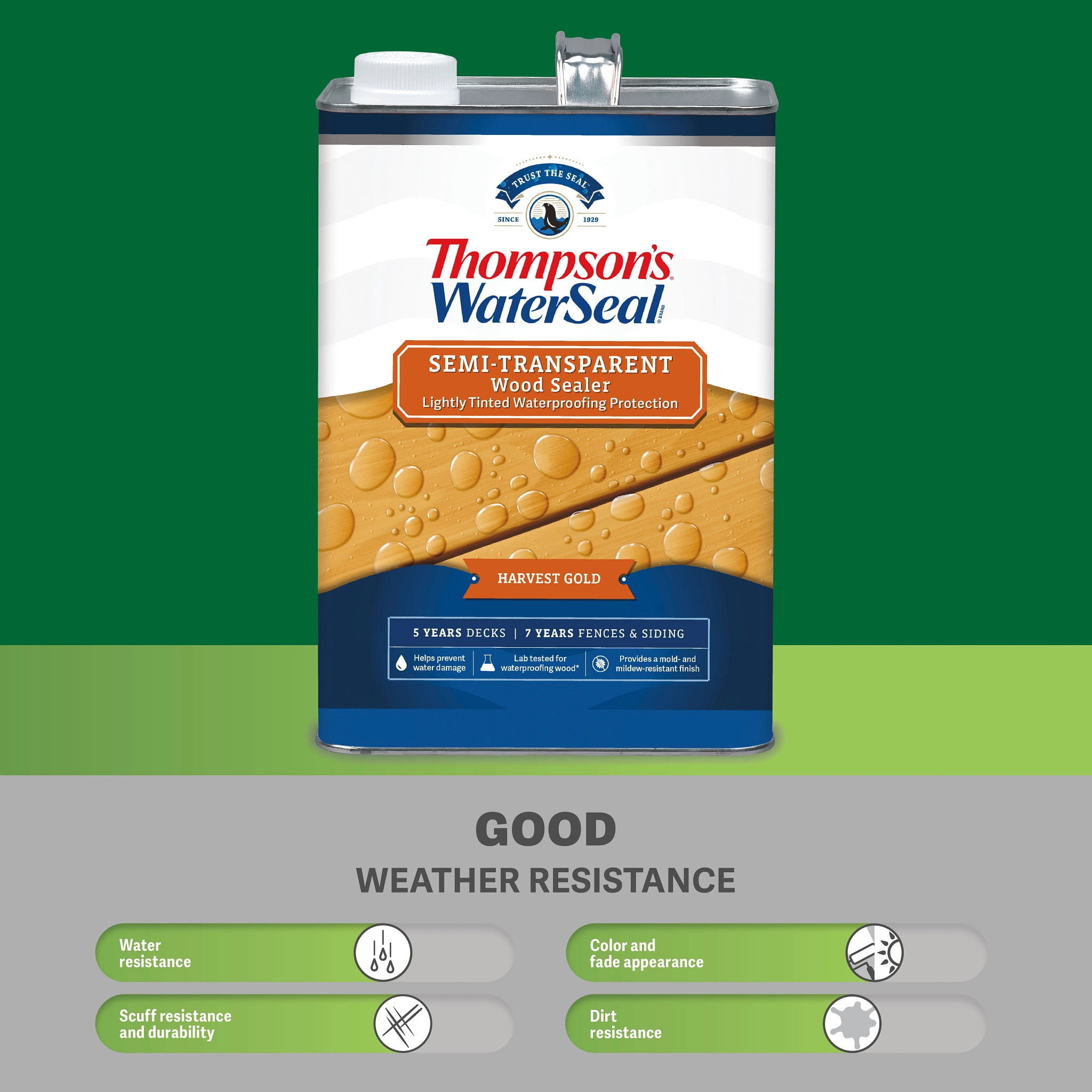 Thompson's WaterSeal Semi-Transparent Natural Cedar Wood Sealer, 1 Gallon