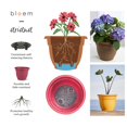 thumbnail image 4 of Fiskars 20-56106 Planteur d'Argile Ariana de 6 Po, 4 of 5