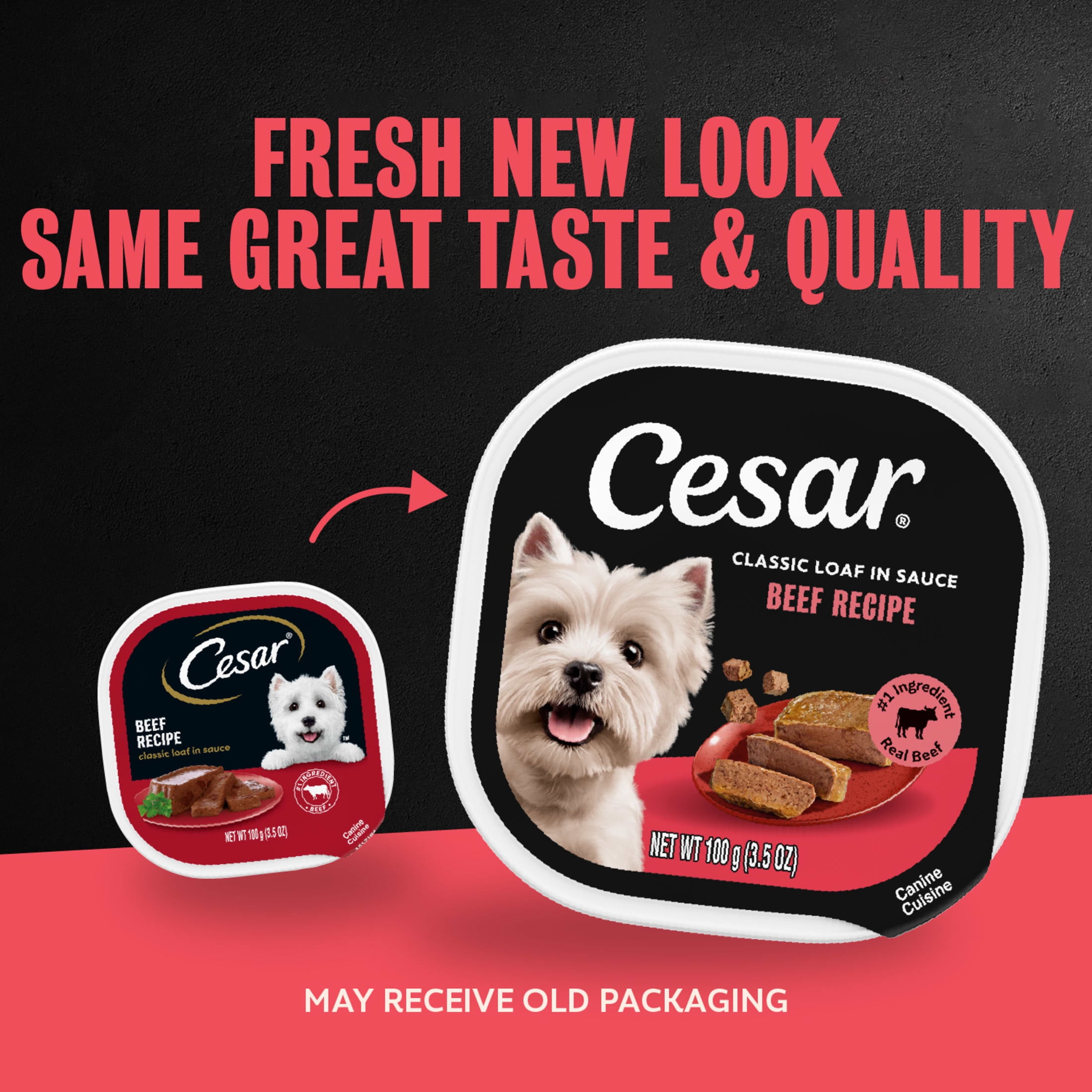 (4 pack) Cesar Classic Loaf In Sauce Beef Recipe Adult Wet Dog Food, 3.5 Oz Easy Peel Tray