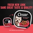 thumbnail image 4 of Cesar Classic Loaf In Sauce Beef Recipe Adult Wet Dog Food, 3.5 Oz Easy Peel Tray, 4 of 15
