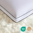 thumbnail image 4 of Juego de 2 almohadas de plumas Sanivosily Queen Size, 4 of 7