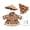 C-z55A, variant on DVKOVI 3 Pcs Porch Goose Outfits Summer Lawn Geese Statue Raincoat Umbrella Hat Costume Yard Gooses Clothes A A