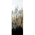 thumbnail image 2 of Herrera, Leticia 13x32 Gold Ornate Wood Framed with Double Matting Museum Art Print Titled - Metalico II, 2 of 4