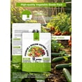 thumbnail image 2 of RitualBoxy 12 Vegetable Seed Variety Pack – 6,000+ Non-GMO Seeds, Heirloom, High Germination Rate – Home Garden Seed for Hydroponic, Indoor and Outdoors Gardening, 2 of 6