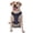 With Accessories, variant on Vsdgher Star Dog Paw Pattern Dog Harness,No Pull Pet Harness with Soft Padded Handle,Adjustable Reflective Vest with 2 Buckles,4 Slide Buckles,S-XL X-Large