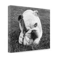 thumbnail image 2 of Tangletown Fine Art Obsess By Sharon Beals,  Gallery Wrap Canvas, 2 of 2