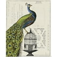 thumbnail image 1 of Great BIG Canvas | Rolled Sue Schlabach Poster Print entitled Peacock Birdcage I, 1 of 4