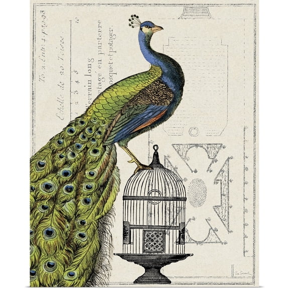 Great BIG Canvas | Rolled Sue Schlabach Poster Print entitled Peacock Birdcage I