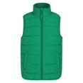 thumbnail image 1 of Mountain Warehouse - Chaleco Rocko Lisos para Niños/Niñas (Verde), 1 of 4