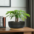 thumbnail image 5 of 8 inch Bonsai Pot- Modern Ceramic Shallow Planter with Drainage & Bamboo Saucer, Pots for Bonsai Trees Cacti Black, 5 of 8