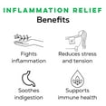 thumbnail image 3 of Té de hierbas LOOSE LEAF Inflammation Relief Organic 30 tazas, 3 of 5