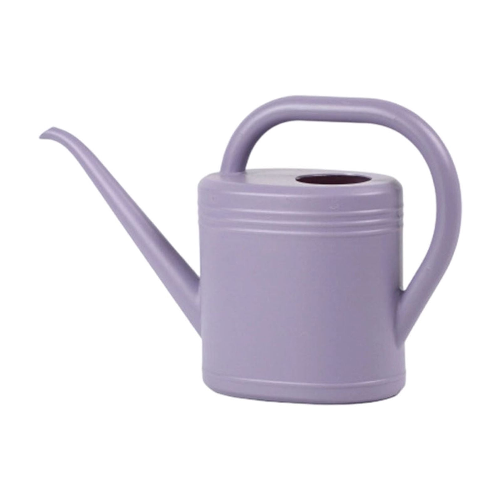 Plant Watering Can, Resin Watering Can, Sturdy Garden Watering Can, Top & Side Dual Handle, For Flower Planting, Vegetable Gardening, 2L