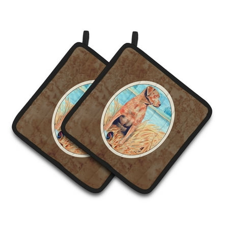 

Carolines Treasures 7112PTHD Chesapeake Bay Retriever Pair of Pot Holders 7.5HX7.5W multicolor