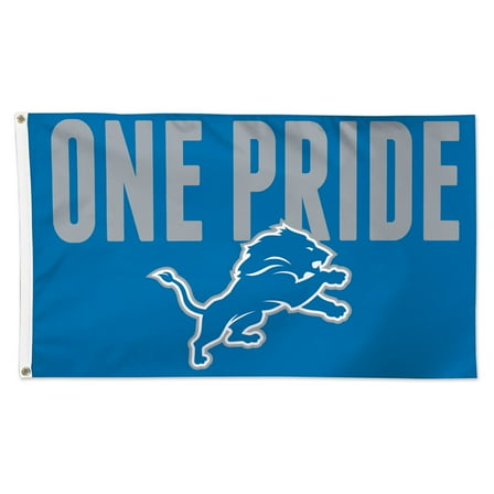 NFL Detroit Lions Slogan 3' x 5' Deluxe Flag