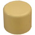 thumbnail image 1 of 50157 0.75 in. CPVC Cap - Pack Of 10, 1 of 1