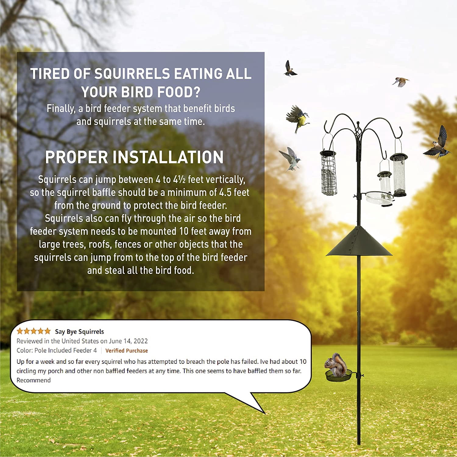 Squirrel Proof Bird Feeder  Wild Bird Station - Powder Coated 81 Inch Steel Pole  Squirrel Baffle  4 Bird Feeders  1 Squirrel Peanut Feeder - 5 Prong Base  PATENTS PENDING