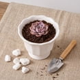 thumbnail image 4 of 4 Inch Round Ceramics Planter with Scalloped Rim,Mini Flowerpots with Drainage Plug for Indoor Outdoor Ferns Succulents, 4 of 6