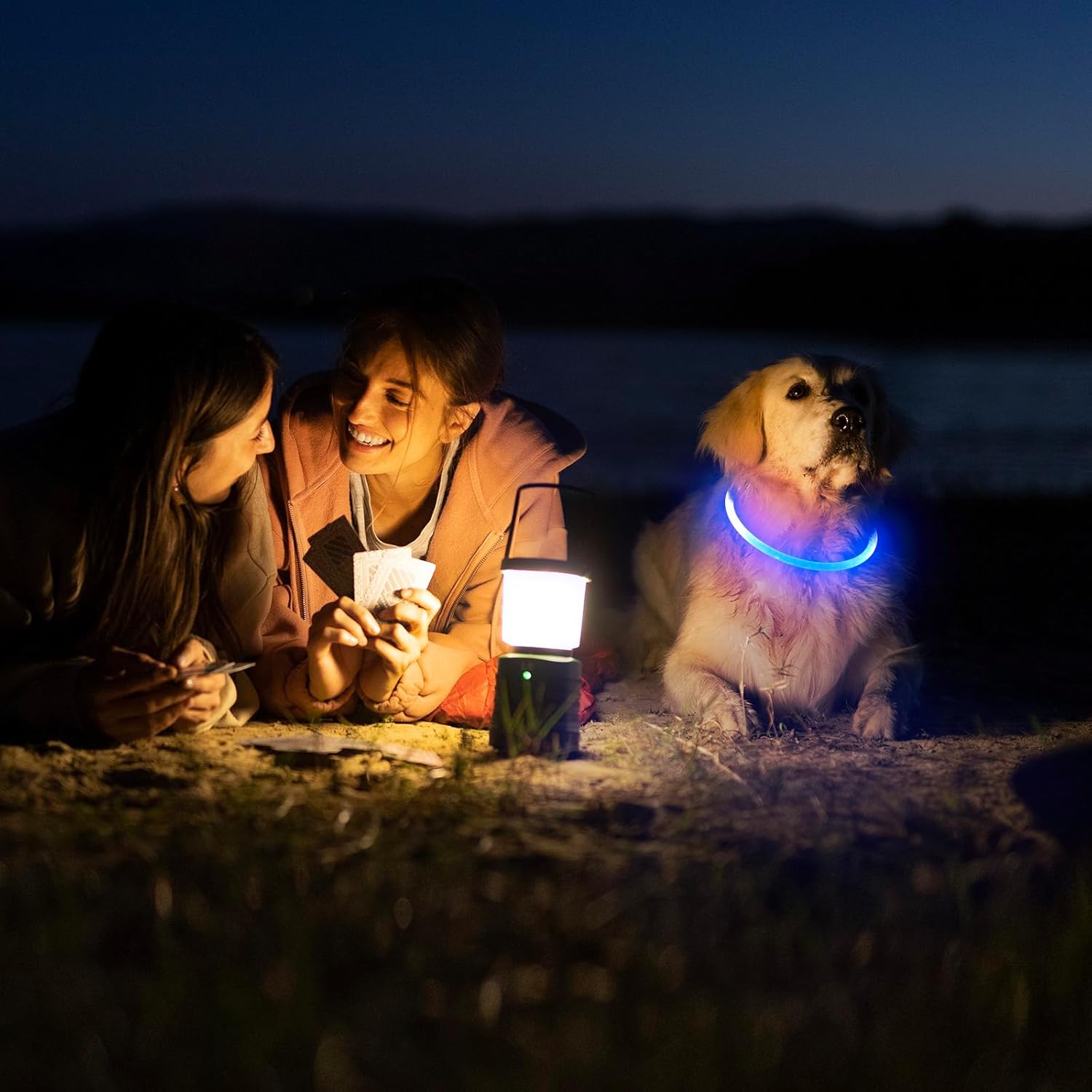 Teddy Run Led Dog Collar USB Rechargeable Safety Collar photo 5