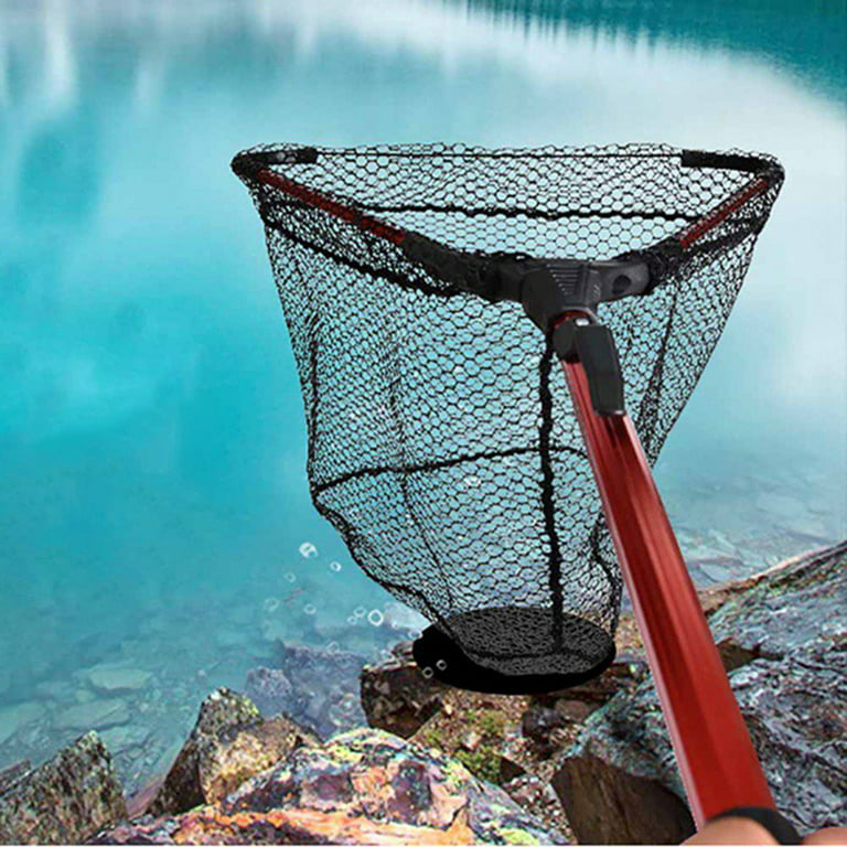 MAYNOS Folding Fishing Net-Foldable Fish Landing Net Robust Aluminum  Telescopic Pole Handle and Safe Fish Catching or Releasing for Durable and  Nylon Mesh 