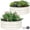White, variant on Galvanized Raised Garden Bed Outdoor, Round Metal Planter Boxes 2 Pcs, 3x3x1.4ft Steel Raised Bed Kit for Planting Vegetables, Fruits, Flowers(LotusGreen)