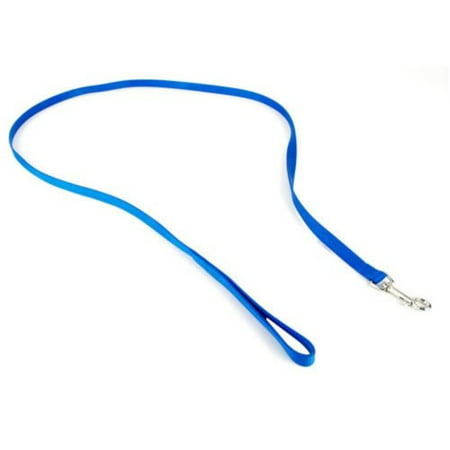 Nylon Dog Leash Training Lead (Blue, 6 ft. L x 3/8 Inch W), Carefully and neatly finished for the best look and durability By Coastal
