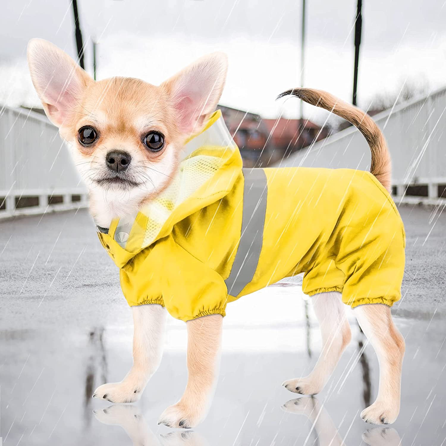Dog raincoat, waterproof rain poncho for dogs, windproof rain jacket for puppies with hood and hole small medium dogs Chihuahua teddy summer clothes - Walmart.com