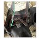 thumbnail image 5 of Corrector de Oreja de Perro Sunnimix Doberman Pinscher Negro L, 5 of 8