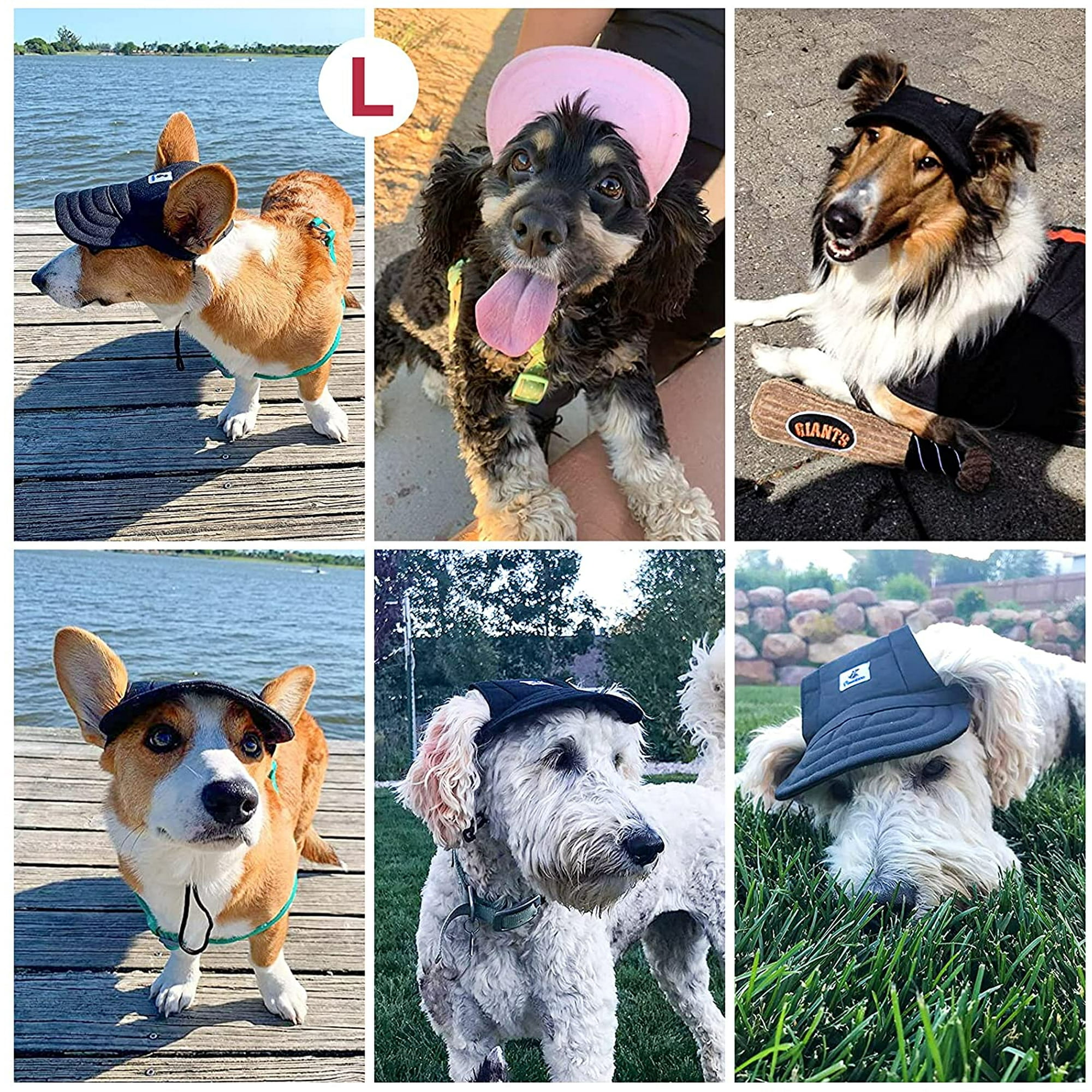 Dog baseball hat online