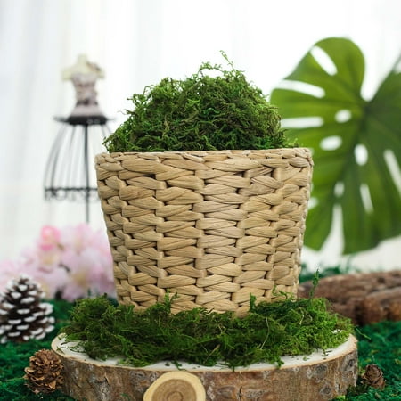 Balsacircle 50 Grams Green Natural Reindeer Moss Vase Fillers