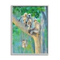 Stupell Industries Fun Playing Monkeys Animals & Insects Photography Gray Framed Art Print Wall Art, 24 x 30