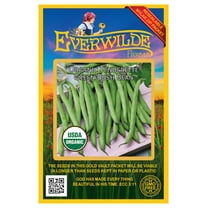 Everwilde Farms - 50 Organic Tenderette Green Bush Bean Seeds - Gold Vault Jumbo Bulk Seed Packet