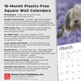 thumbnail image 6 of Old English Sheepdogs | 2025 12x24" (Hanging) Square Wall Calendar | BrownTrout, 6 of 9