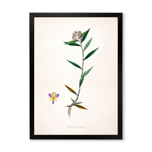 Designart 'Ancient Botanicals XIX' Farmhouse Framed Art Print